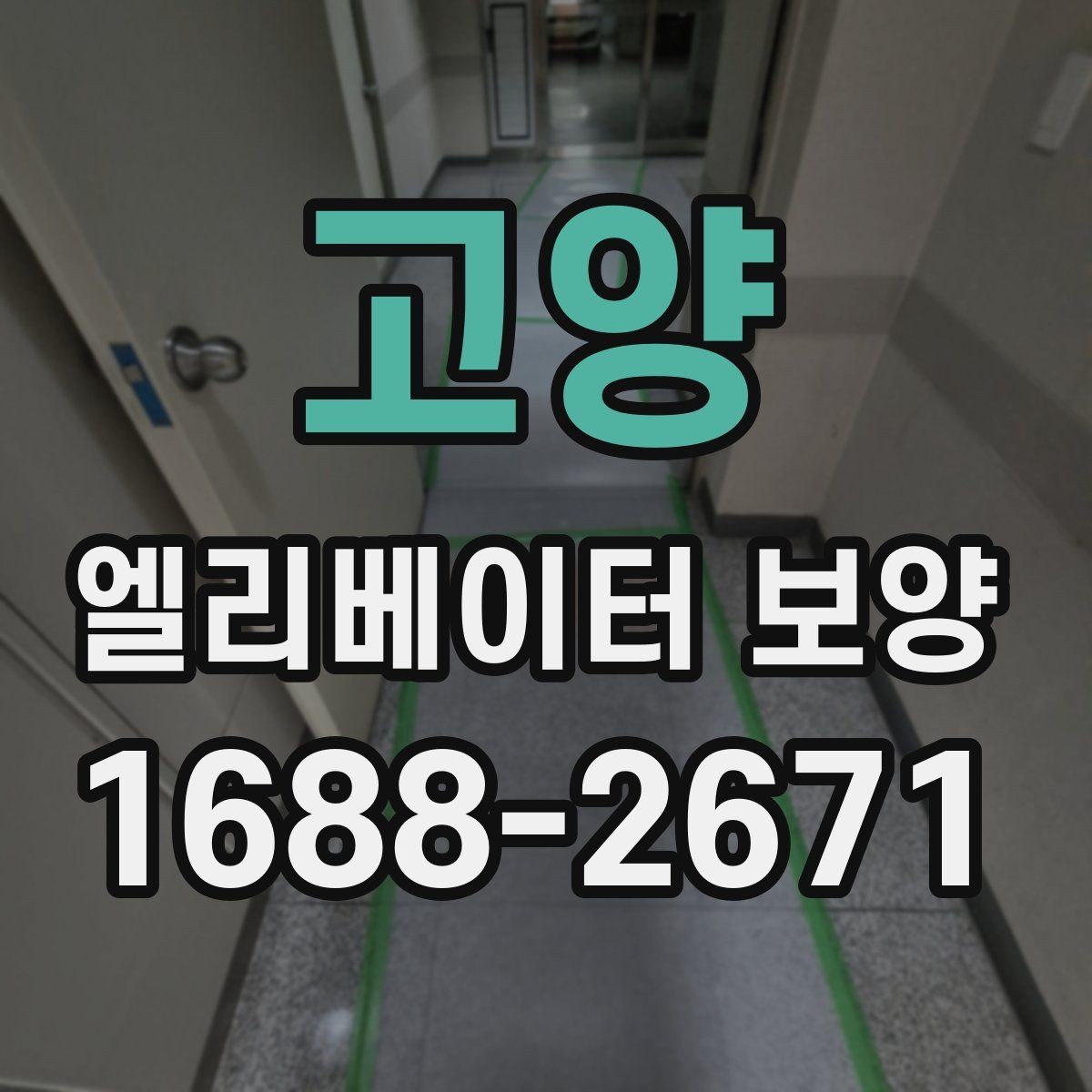 고양 엘리베이터 보양 시 보호 범위를 나누는 방법