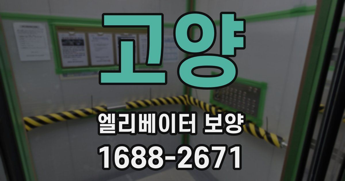 고양 엘리베이터 보양
