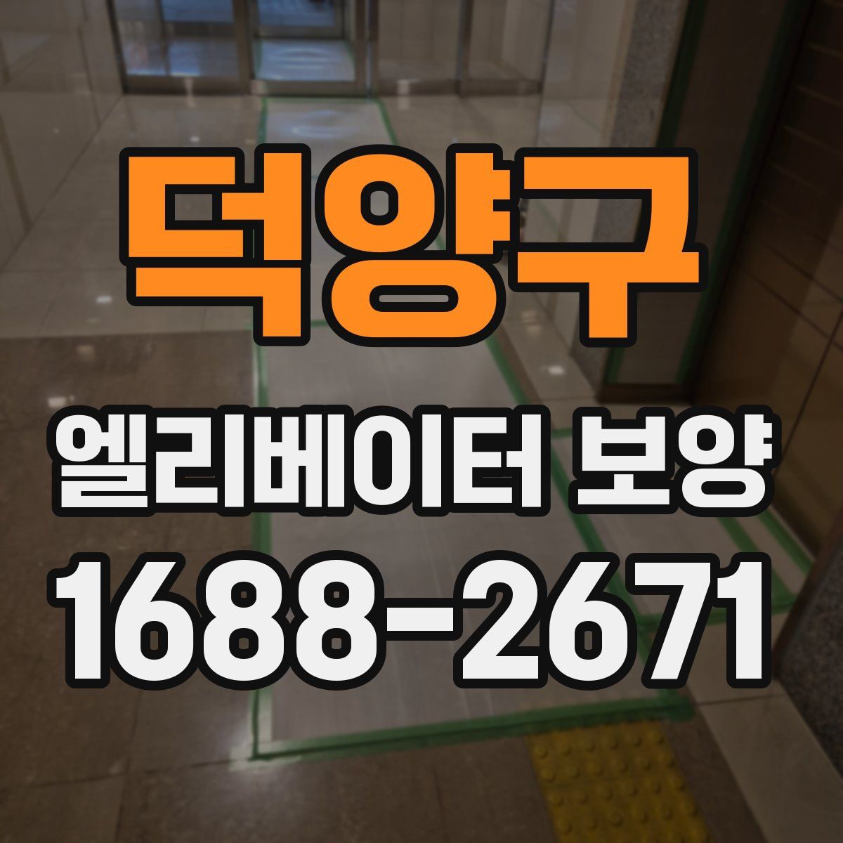 덕양구 엘리베이터 보양