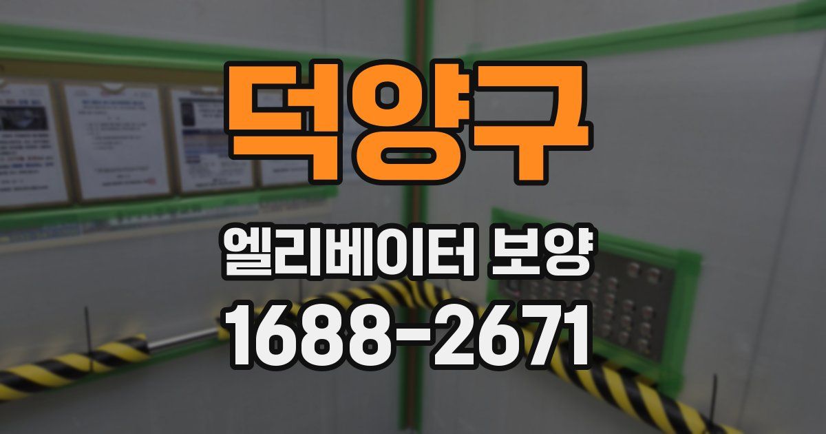 덕양구 엘리베이터 보양