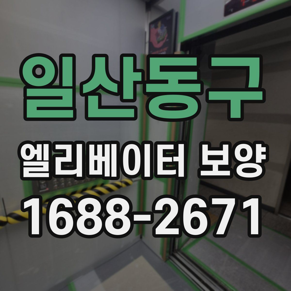 일산동구 엘리베이터 보양