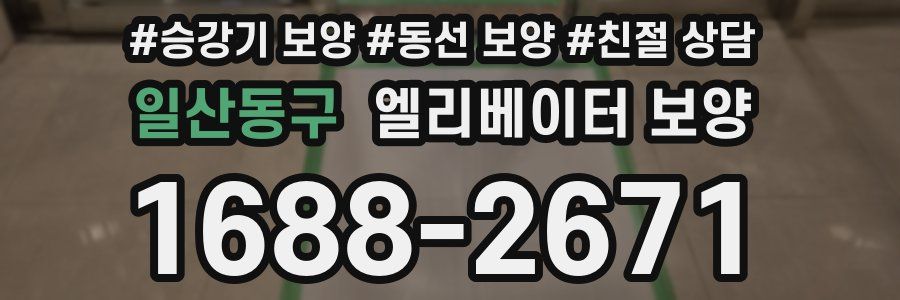 일산동구 엘리베이터 보양