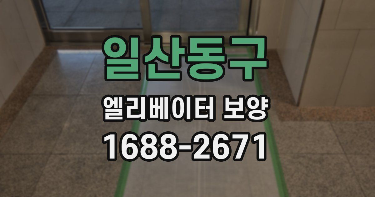 일산동구 엘리베이터 보양