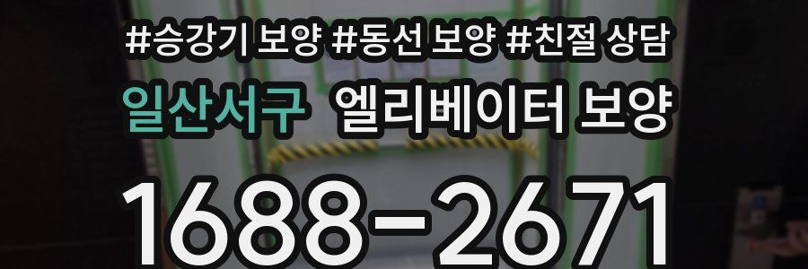 일산서구 엘리베이터 보양