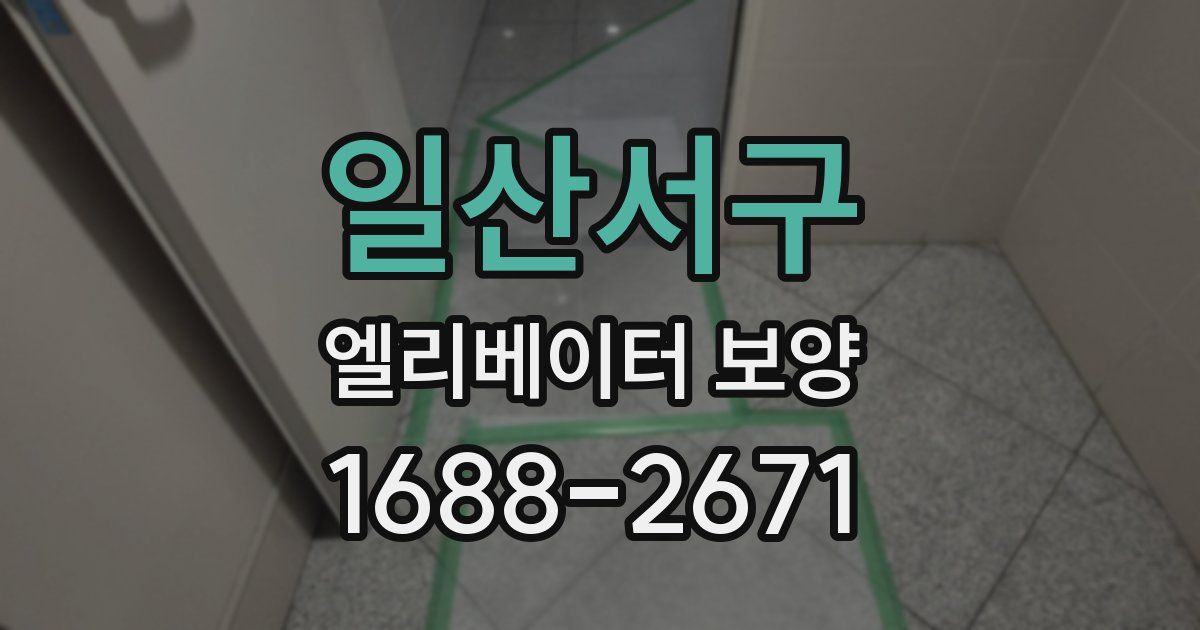 일산서구 엘리베이터 보양