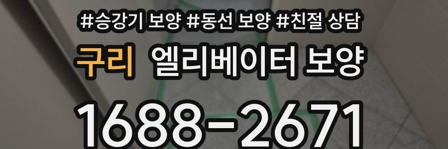 구리 엘리베이터 보양
