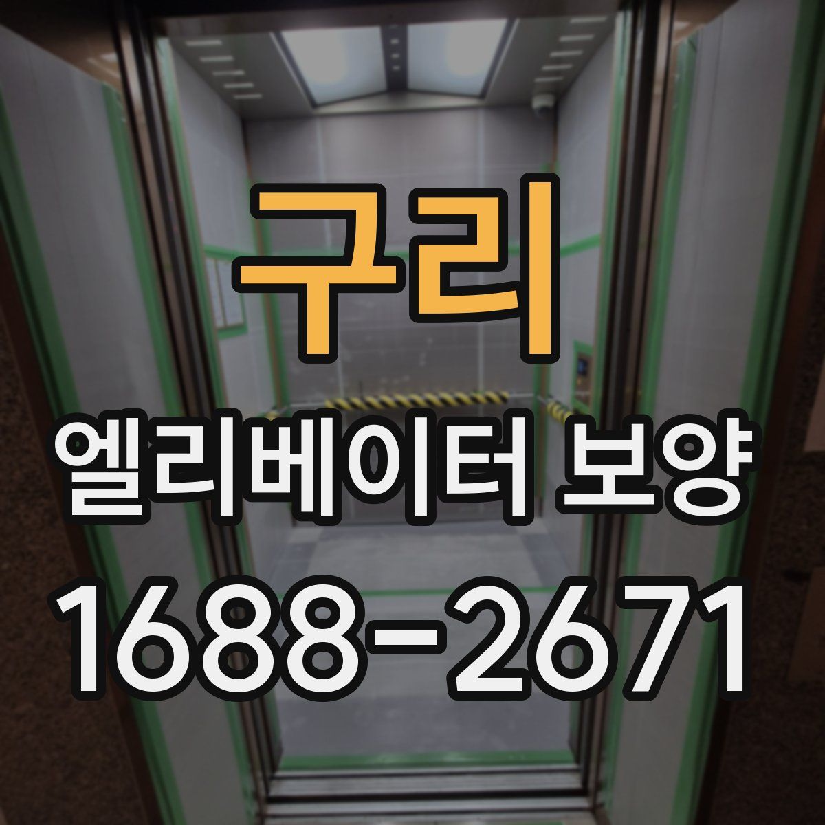 구리 엘리베이터 보양