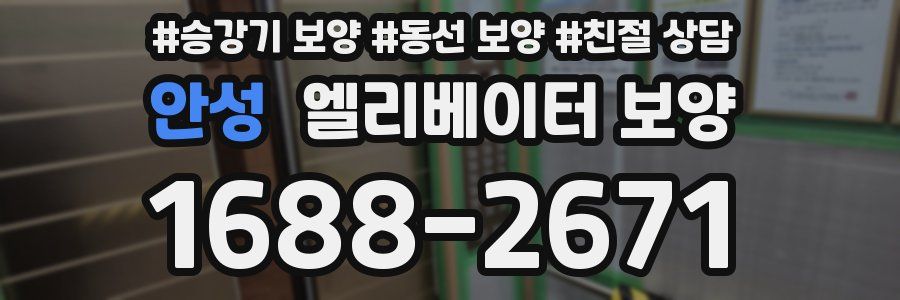 안성 엘리베이터 보양