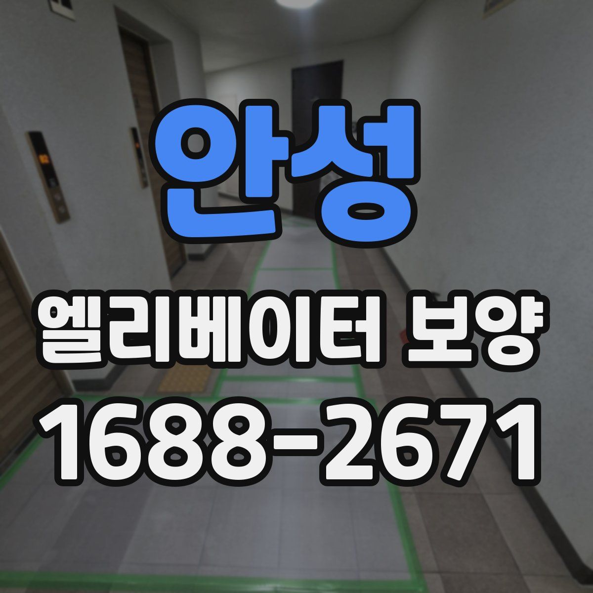 안성 엘리베이터 보양