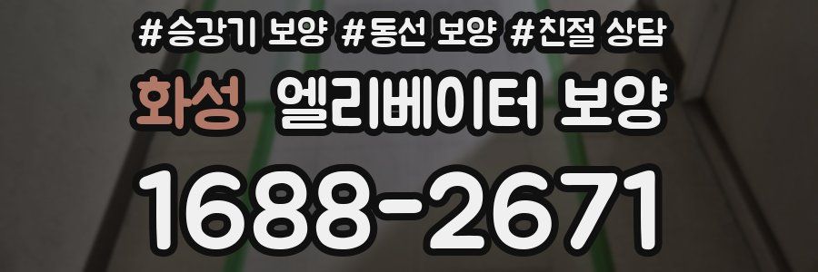 화성 엘리베이터 보양