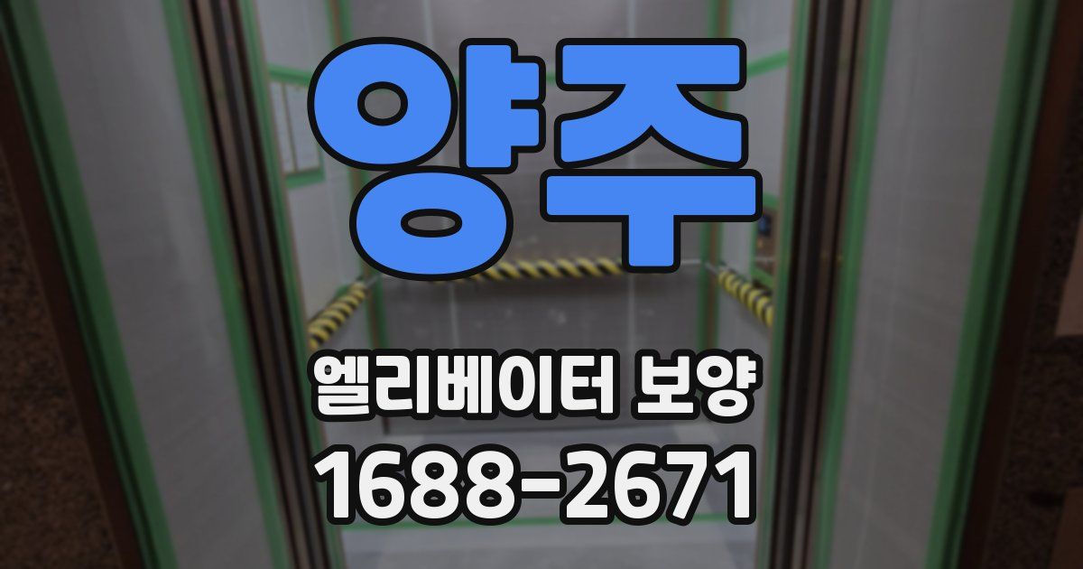 양주 엘리베이터 보양