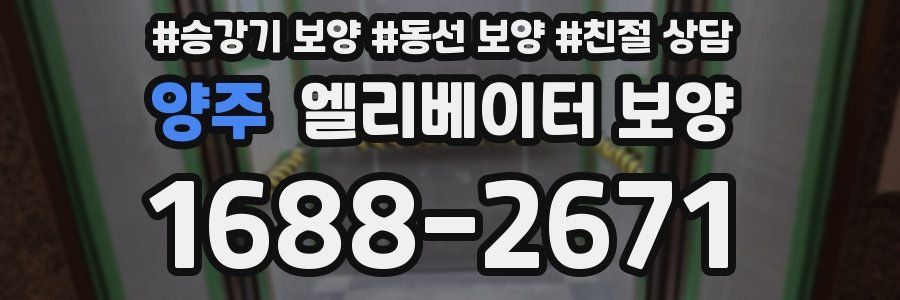 양주 엘리베이터 보양