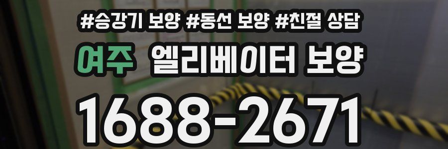 여주 엘리베이터 보양