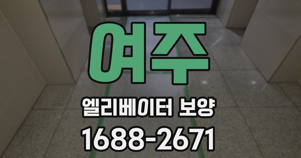 여주 엘리베이터 보양