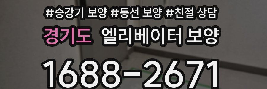 경기도 엘리베이터 보양