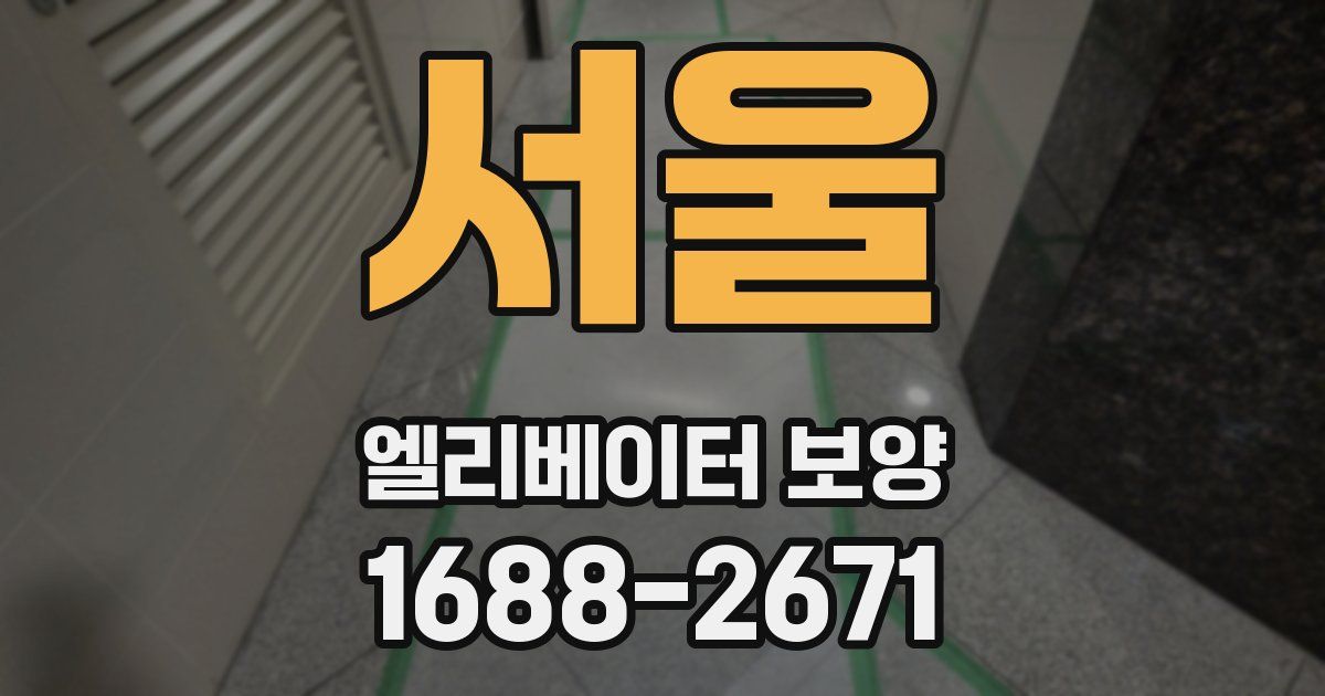 서울 엘리베이터 보양