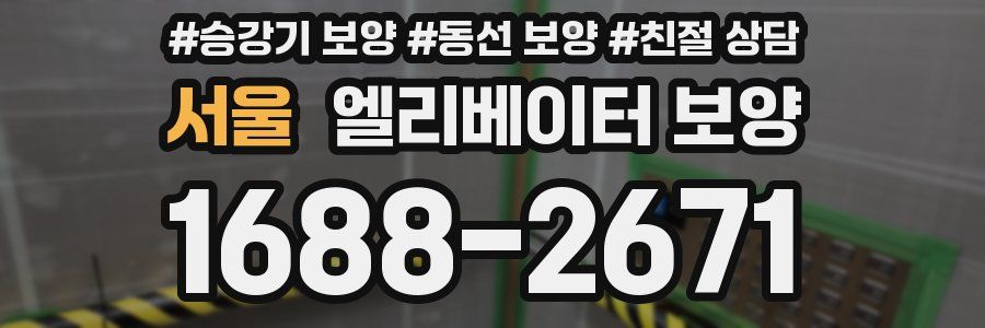 서울 엘리베이터 보양