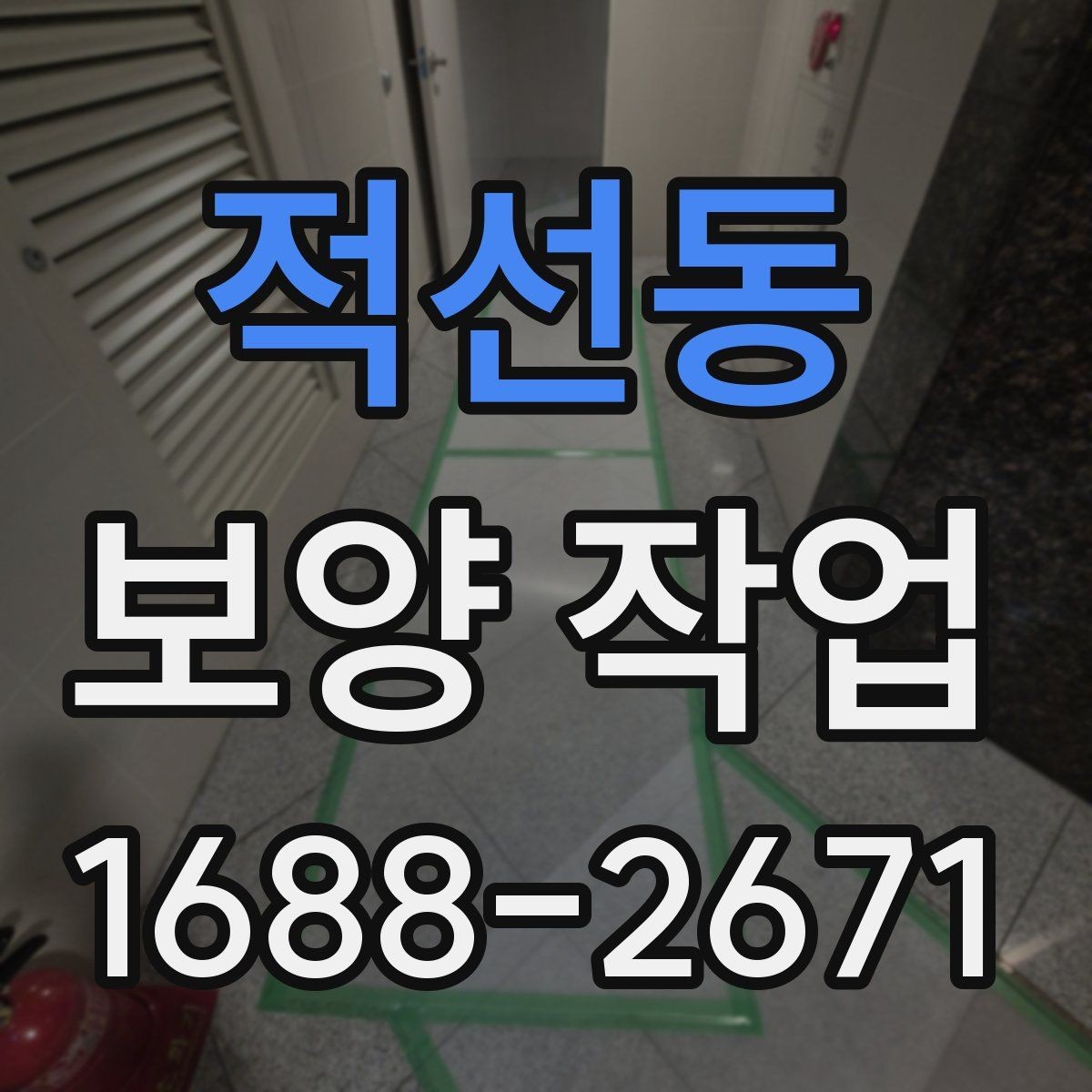 적선동 보양 작업 비교 시 놓치기 쉬운 요소