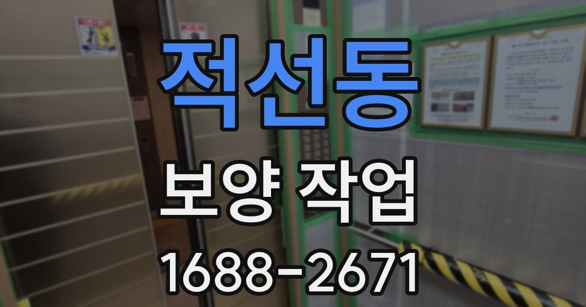 적선동 보양 작업