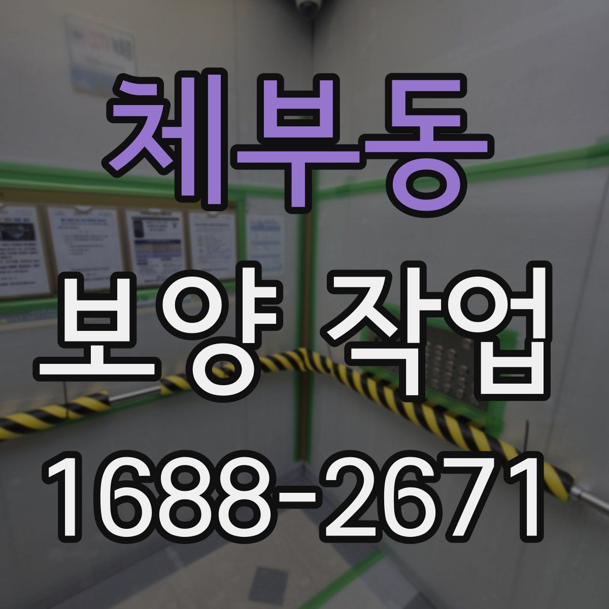 체부동 보양 작업 종류별 적용 범위 살펴보기