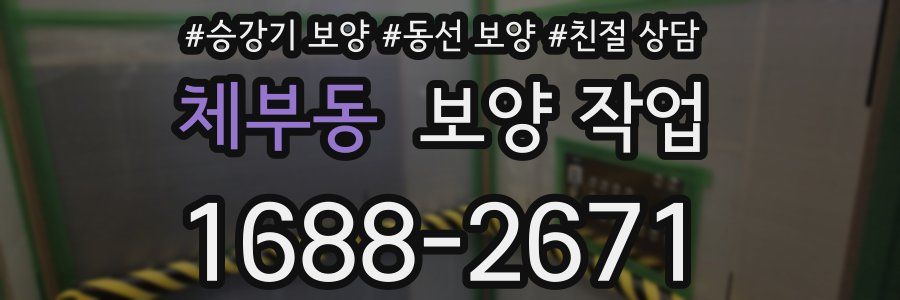 체부동 보양 작업