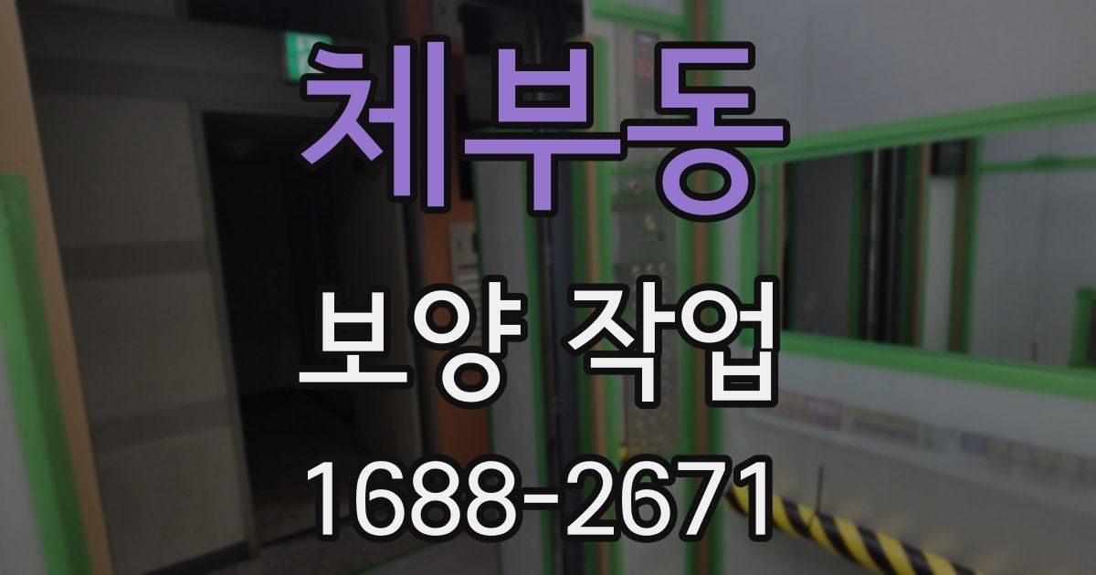 체부동 보양 작업
