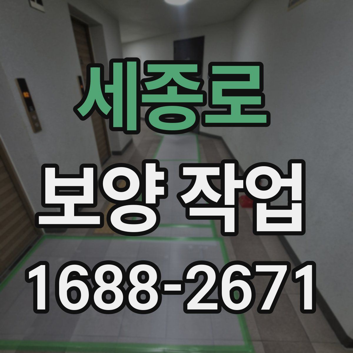 세종로 보양 작업