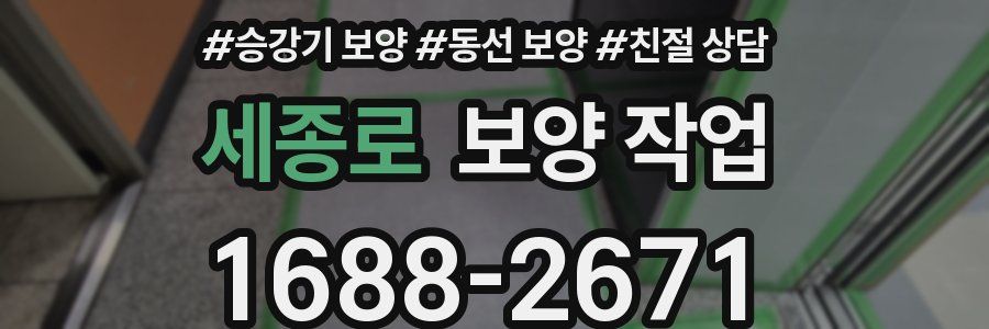 세종로 보양 작업