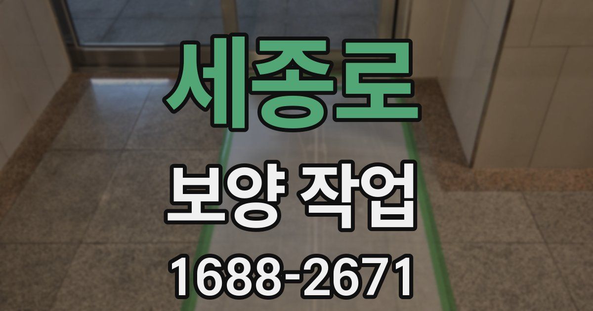 세종로 보양 작업
