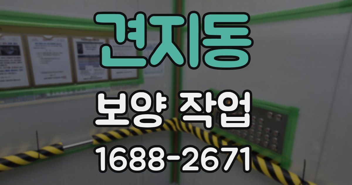 견지동 보양 작업