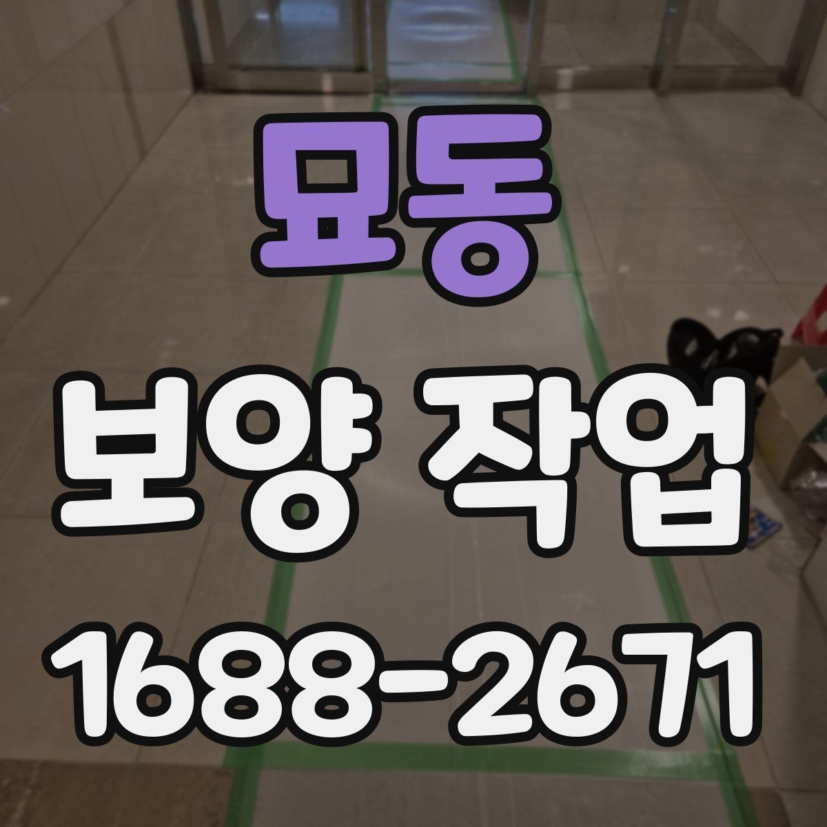 묘동 보양 작업 일정과 비용을 함께 보는 기준