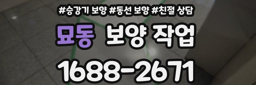 묘동 보양 작업