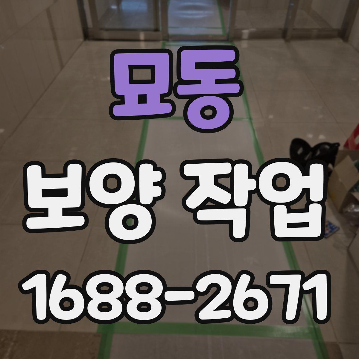 묘동 보양 작업
