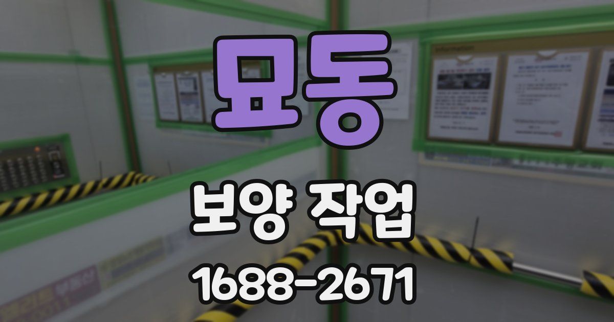 묘동 보양 작업