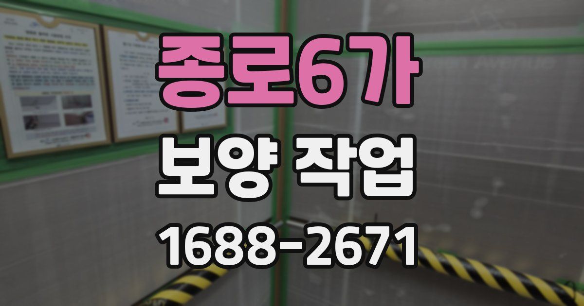 종로6가 보양 작업