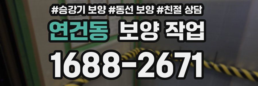 연건동 보양 작업