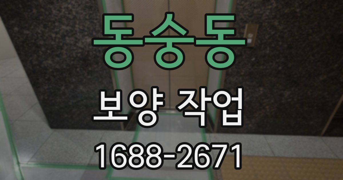 동숭동 보양 작업