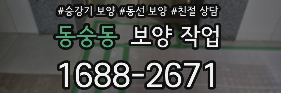동숭동 보양 작업