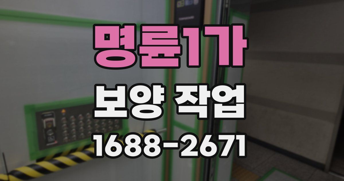 명륜1가 보양 작업