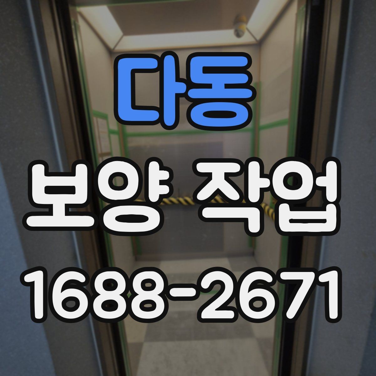 다동 보양 작업 전후 관리가 중요한 이유