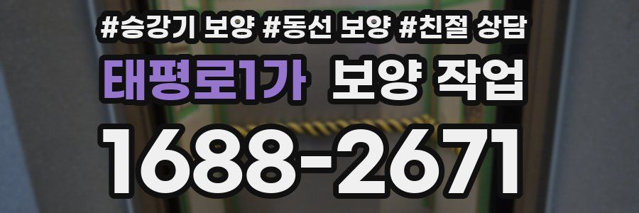 태평로1가 보양 작업