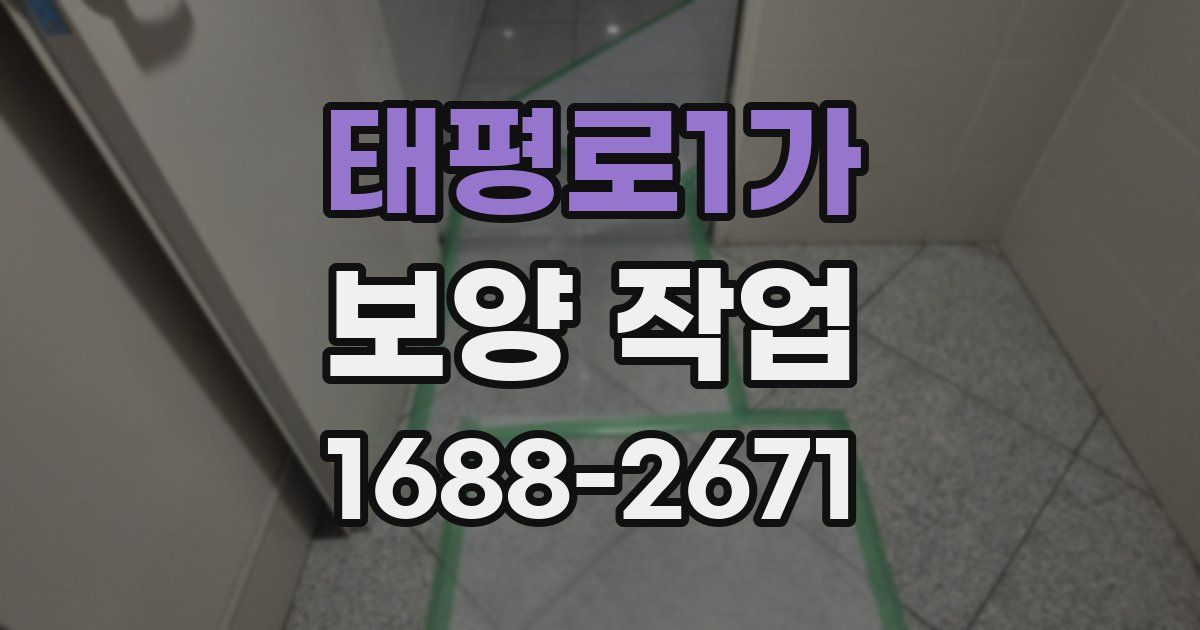 태평로1가 보양 작업