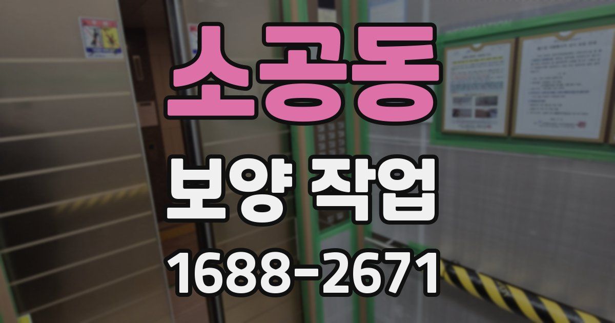 소공동 보양 작업