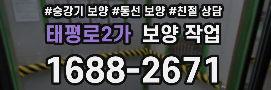 태평로2가 보양 작업