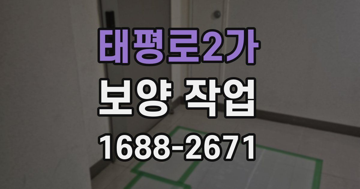태평로2가 보양 작업