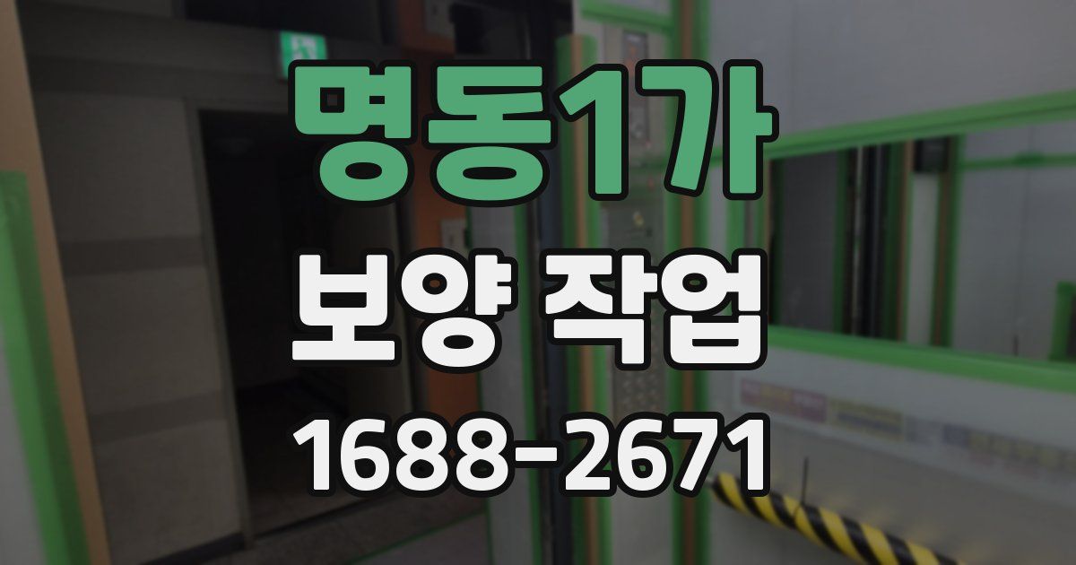 명동1가 보양 작업