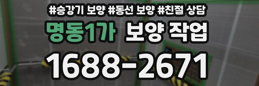 명동1가 보양 작업