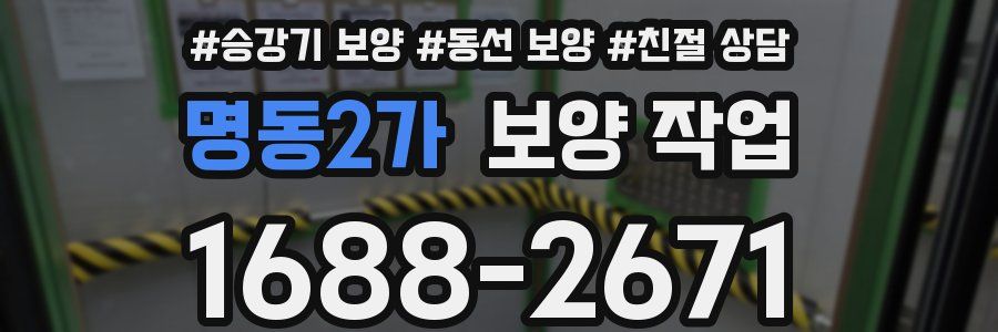 명동2가 보양 작업
