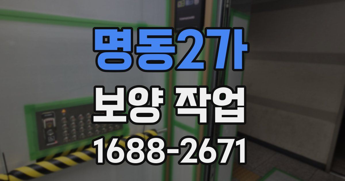 명동2가 보양 작업