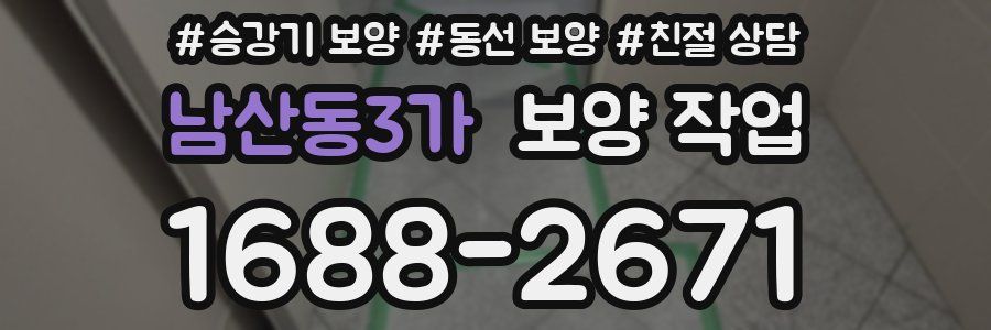 남산동3가 보양 작업